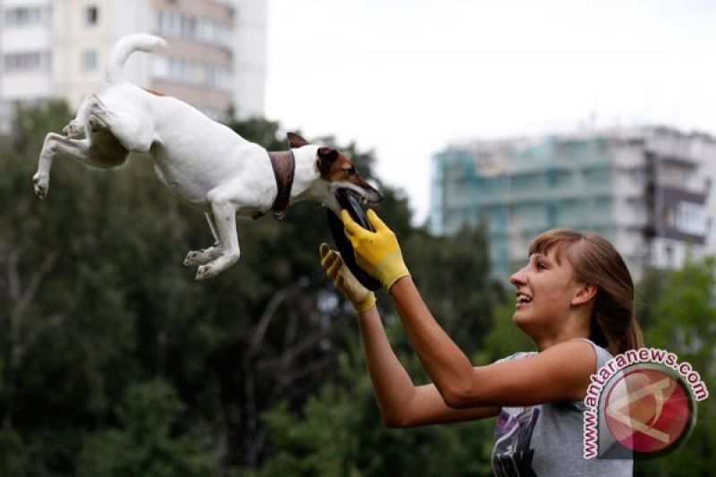 Hoaks! Perempuan Rusia yang dibesarkan anjing selama 16 tahun